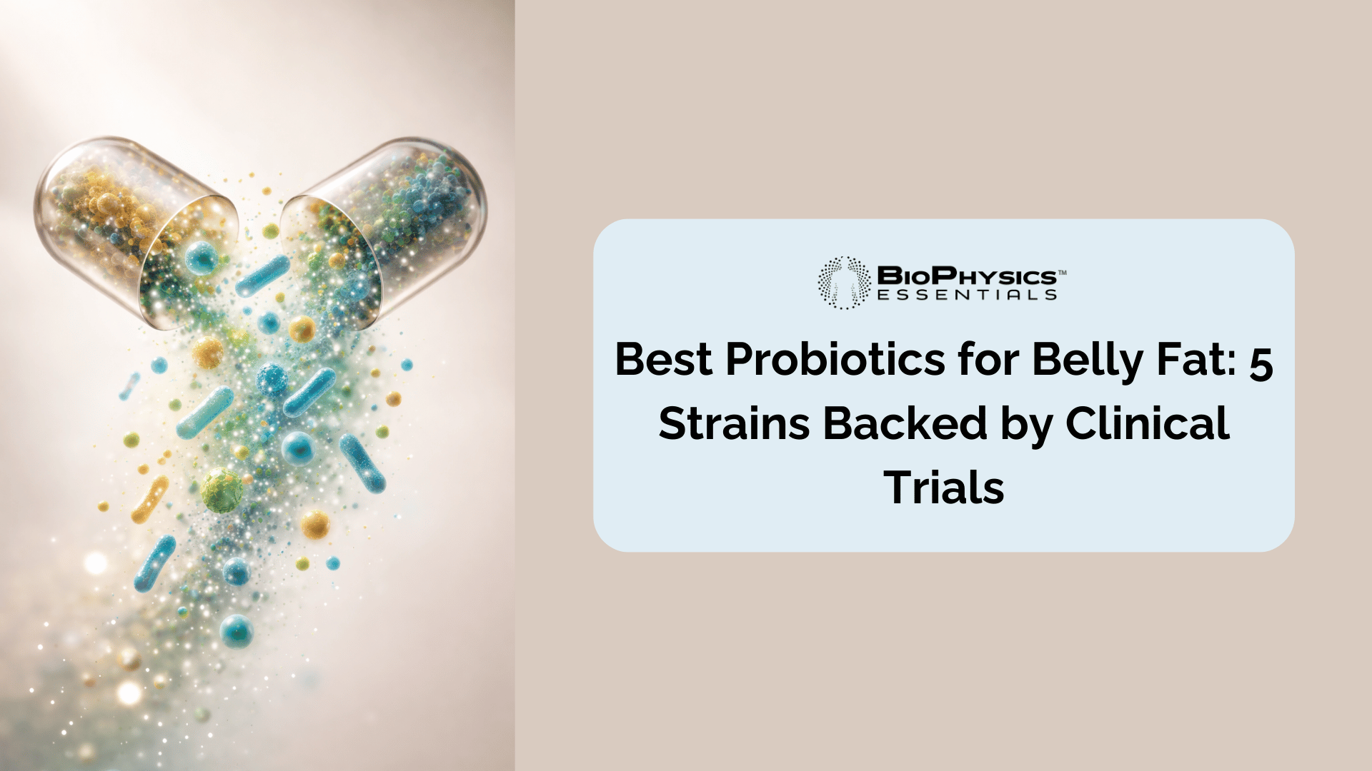 Best Probiotics for Belly Fat 5 Strains Backed by Clinical Trials infographic header showing two translucent probiotic capsules opening and releasing diverse bacterial strains