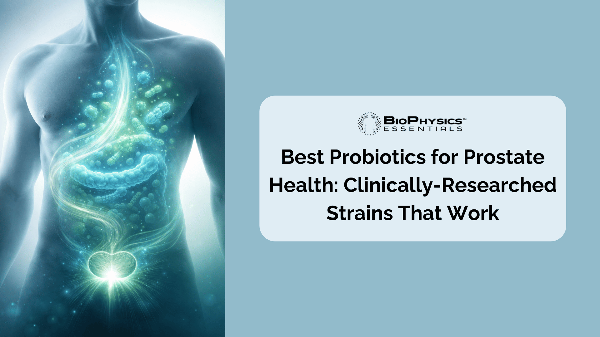 Best Probiotics for Prostate Health: Clinically-Researched Strains That Work