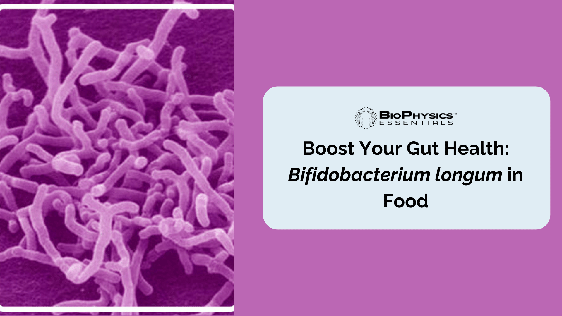 Boost Your Gut Health: Bifidobacterium longum in Food