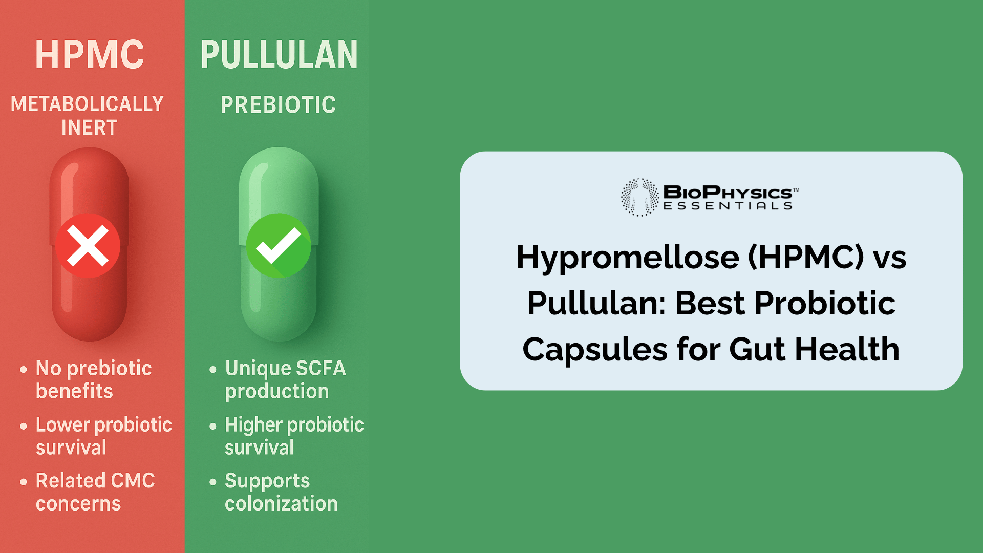 Hypromellose (HPMC) vs Pullulan: Best Probiotic Capsules for Gut Health comparison image highlighting pros and cons