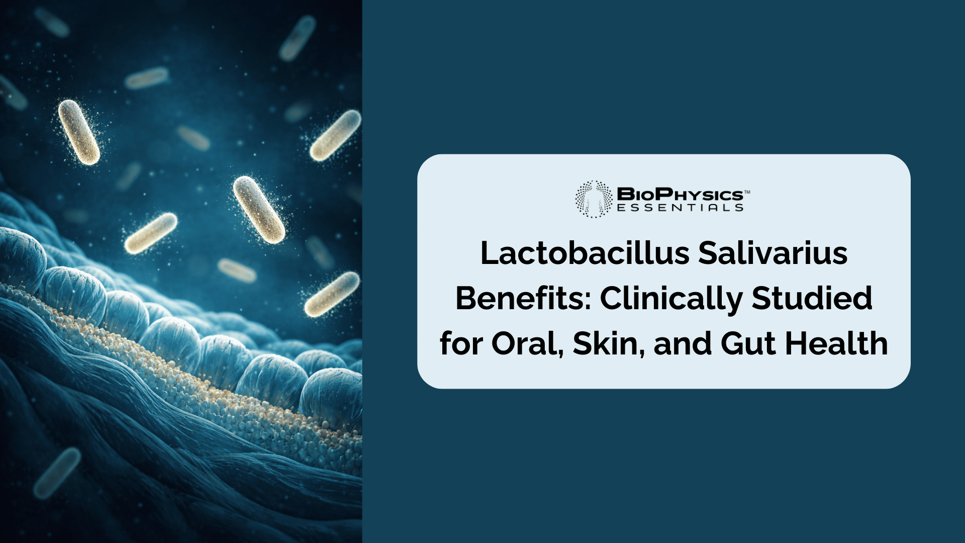 Macro illustration of Lactobacillus salivarius probiotic bacteria illuminated in the gut microbiome environment