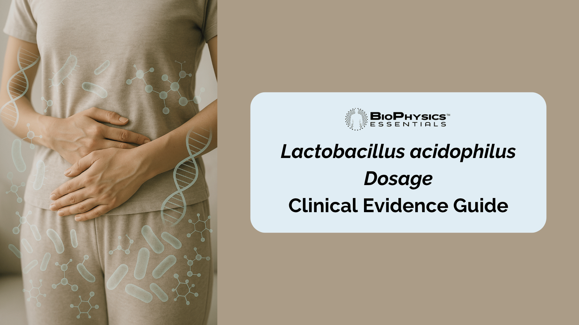 Digestive health and gut wellness illustration for Lactobacillus acidophilus probiotic dosage guide showing relief from bloating and diarrhea