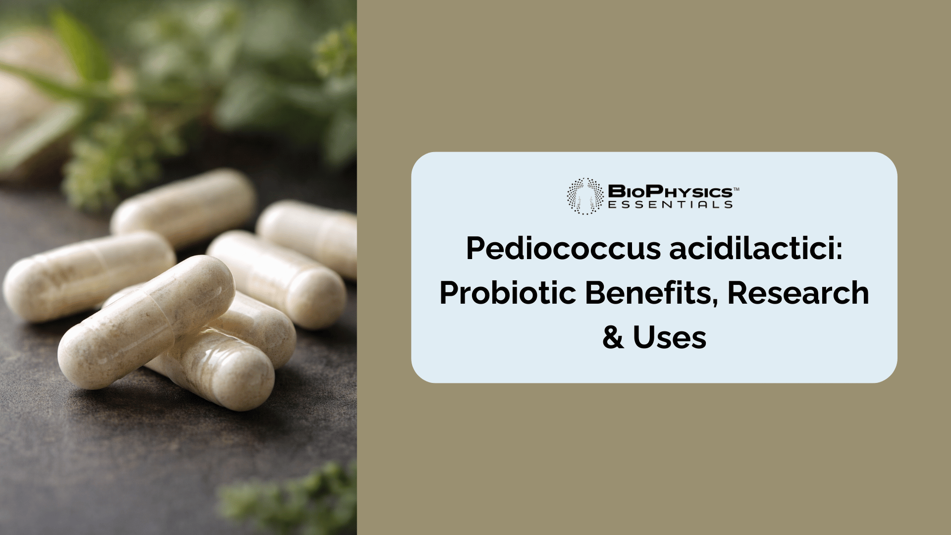 Probiotic capsules on dark surface representing Pediococcus acidilactici formula