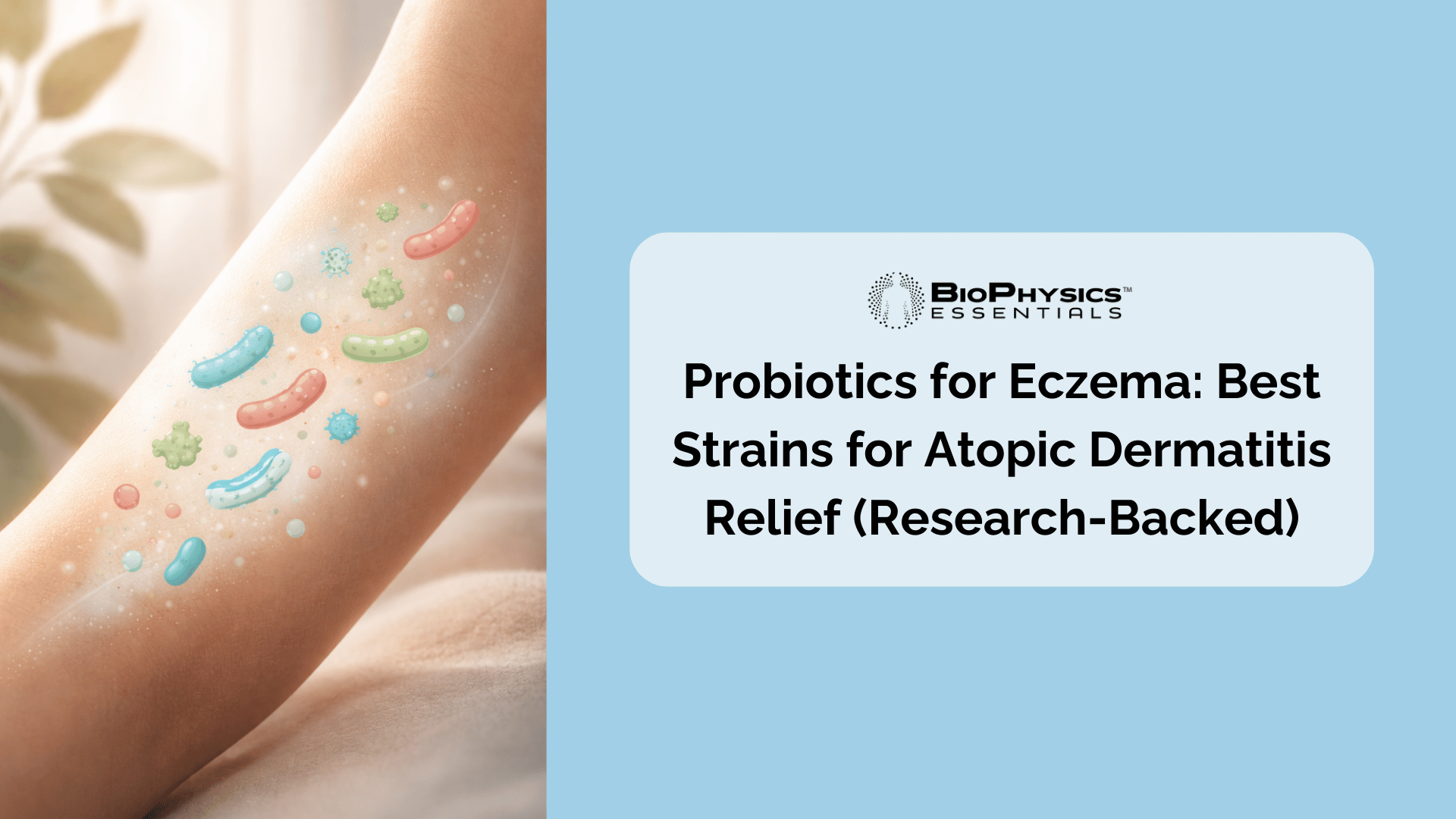 Illustration depicting the connection between probiotics and skin health, showing beneficial bacteria near healthy, calm skin