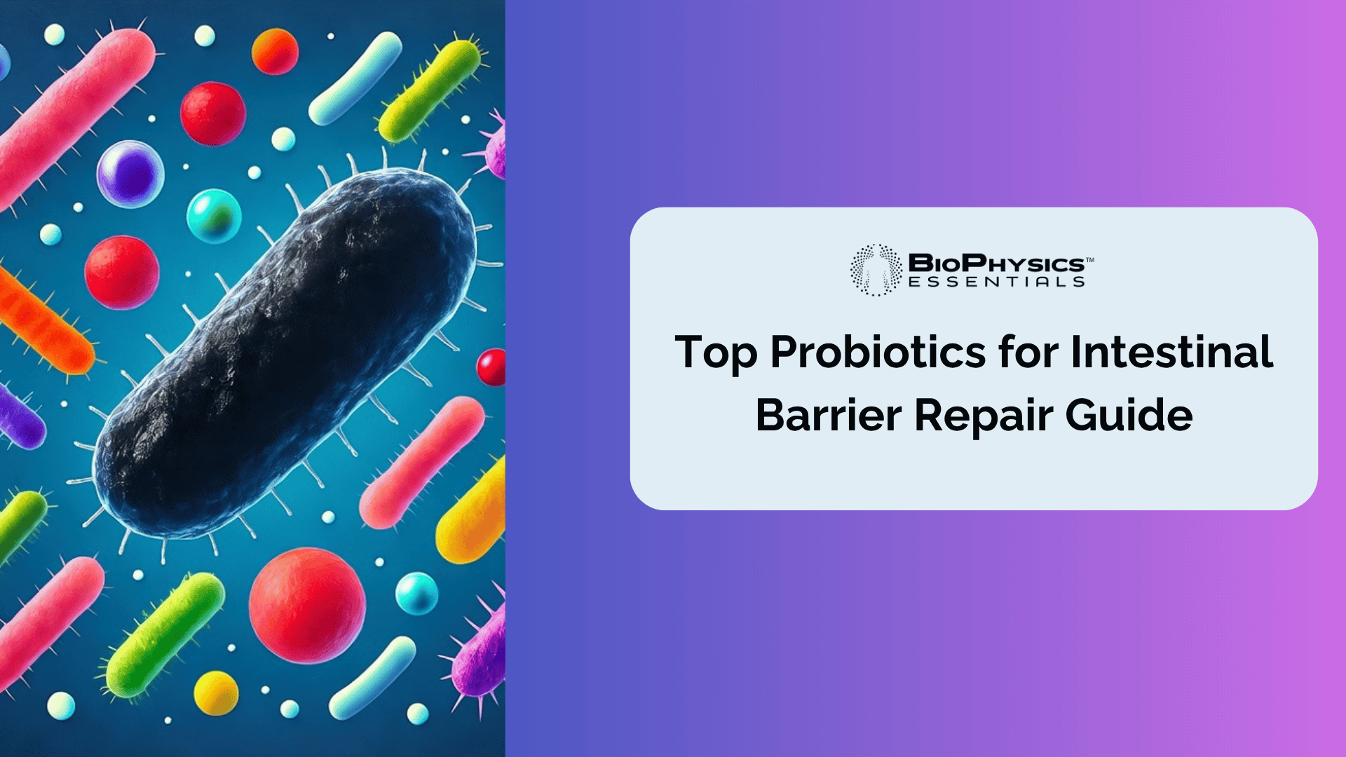 illustration of a vibrant, diverse gut microbiome, featuring stylized colorful probiotic bacteria for leaky gut barriers