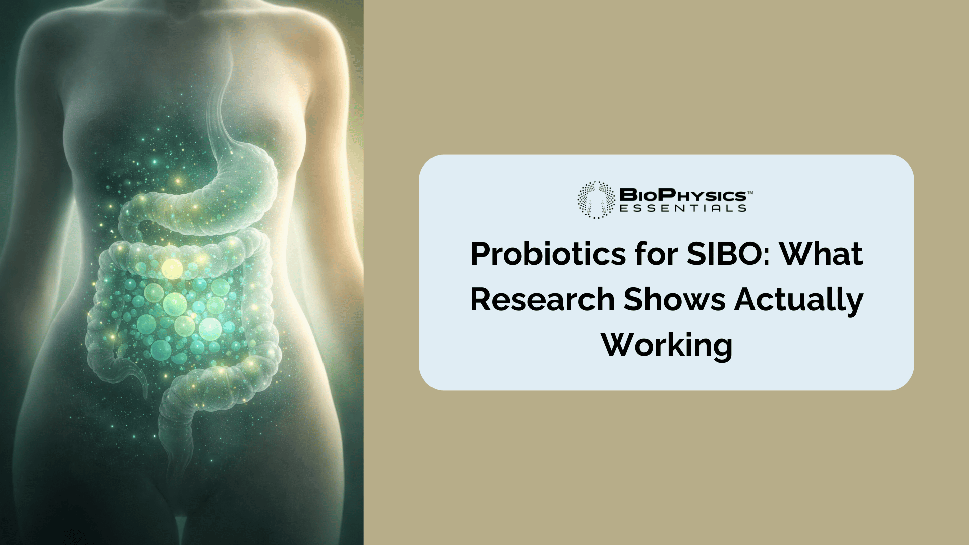 Translucent human torso silhouette with glowing green and teal orbs representing beneficial gut bacteria throughout the digestive tract