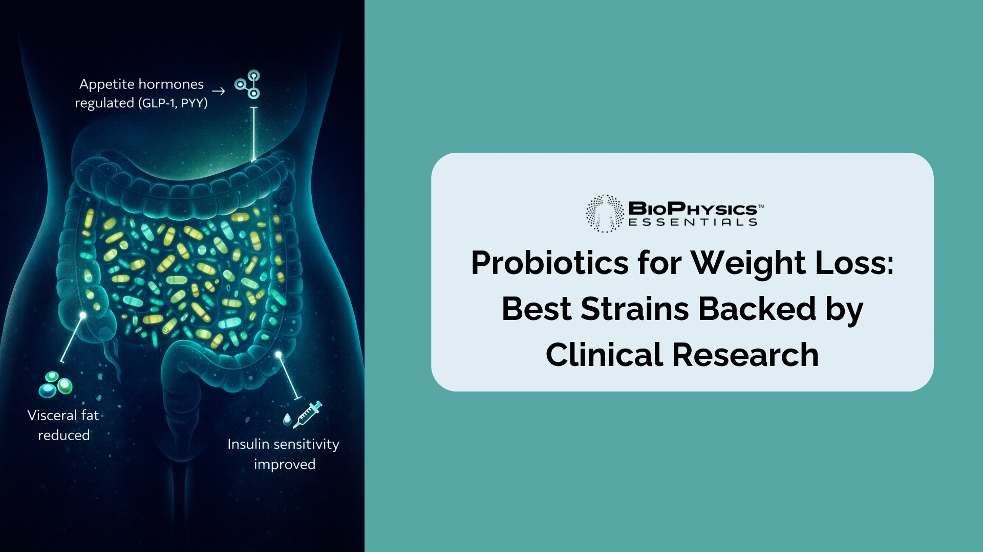 Probiotics for Weight Loss: Best Strains Backed by Clinical Research – BioPhysics Essentials