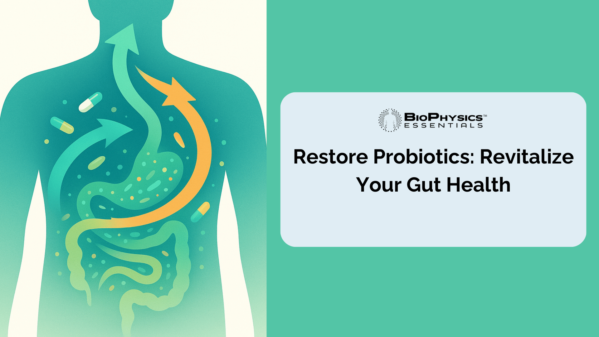Restore Probiotics: Revitalize Your Gut Health with this guide from BioPhysics Essentials and MicroBiome Restore Blog Header