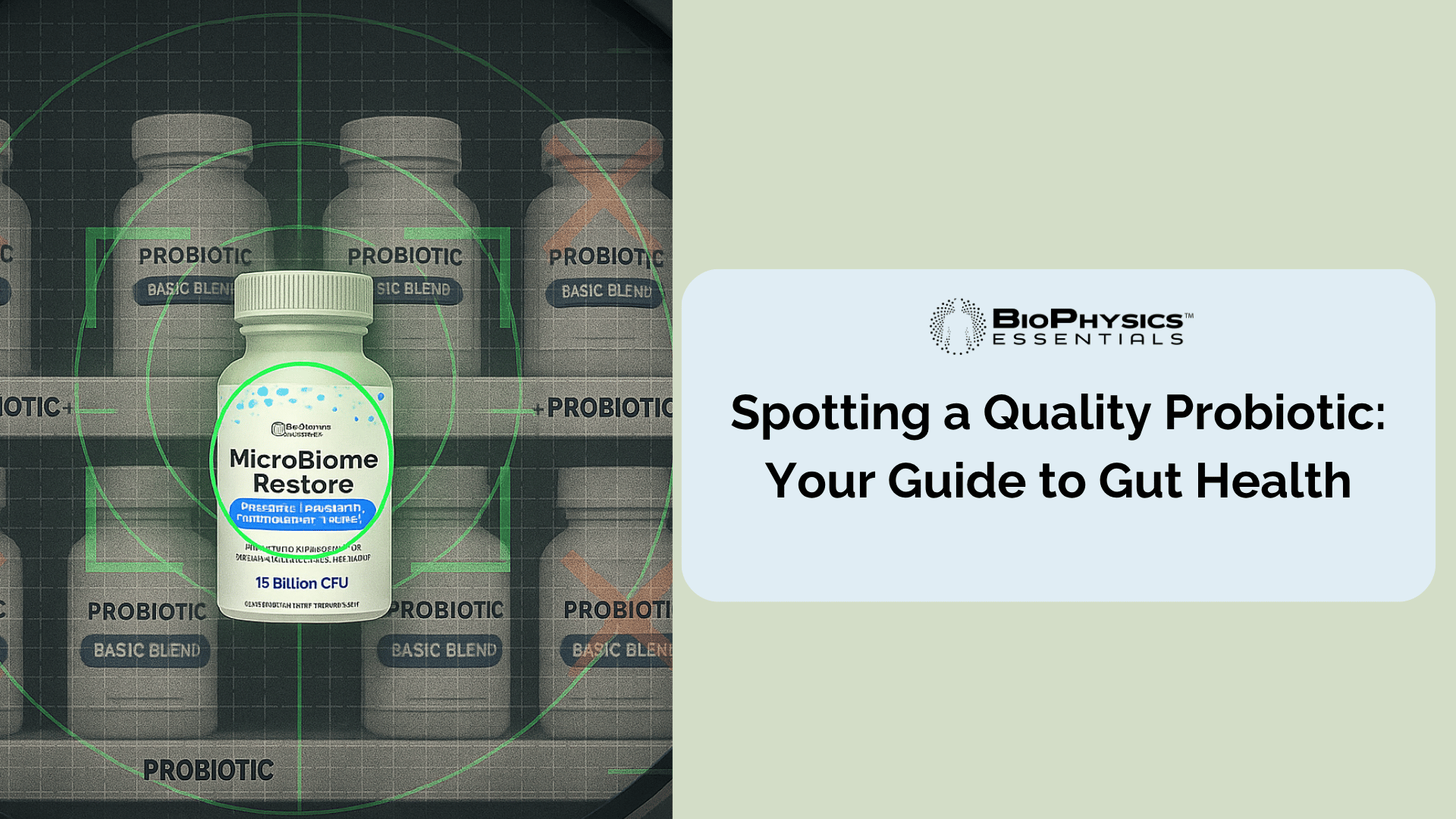 Spotting a Quality Probiotic: Your Guide to Gut Health