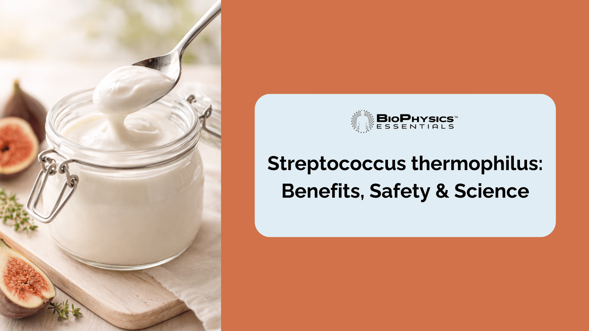 Close-up of fresh yogurt in a glass jar beside figs, representing Streptococcus thermophilus probiotic cultures in natural fermented foods