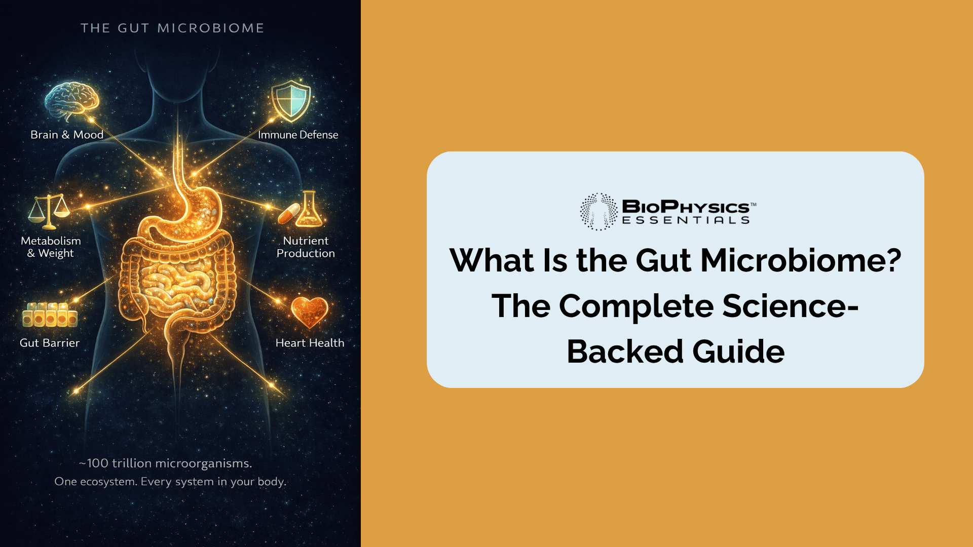 Human torso silhouette with the gut microbiome glowing at center, with six radiating spokes illustrating the body systems it influences: brain and mood, immune defense, metabolism, nutrient production, gut barrier integrity, and heart health