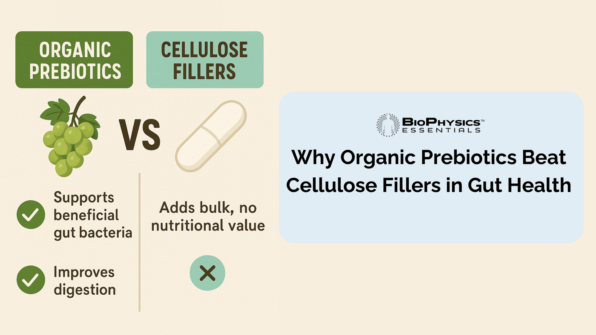 Why Organic Prebiotics Beat Cellulose Fillers in Gut Health