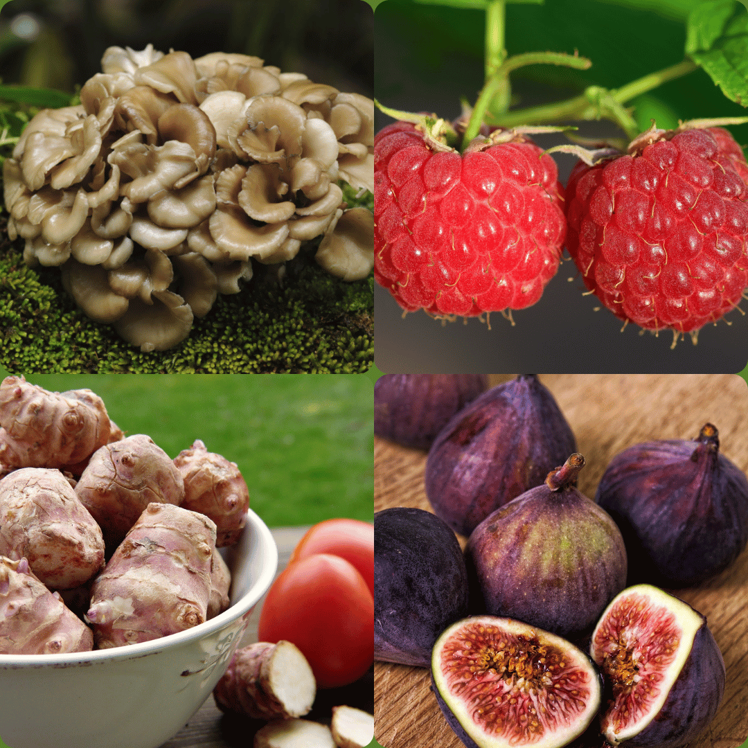 Certified organic prebiotics collage