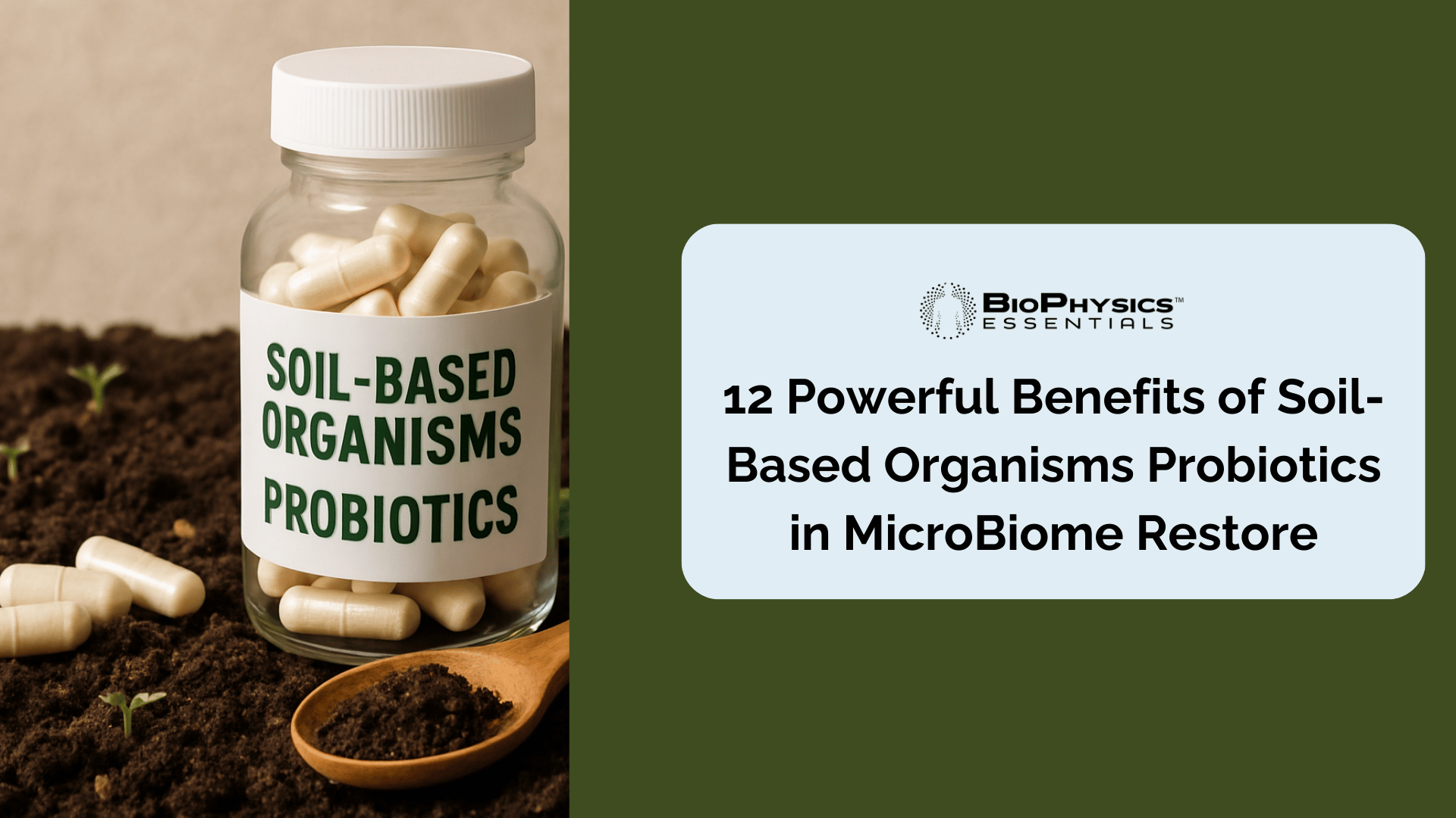 12 Powerful Benefits of Soil-Based Organisms Probiotics in MicroBiome Restore