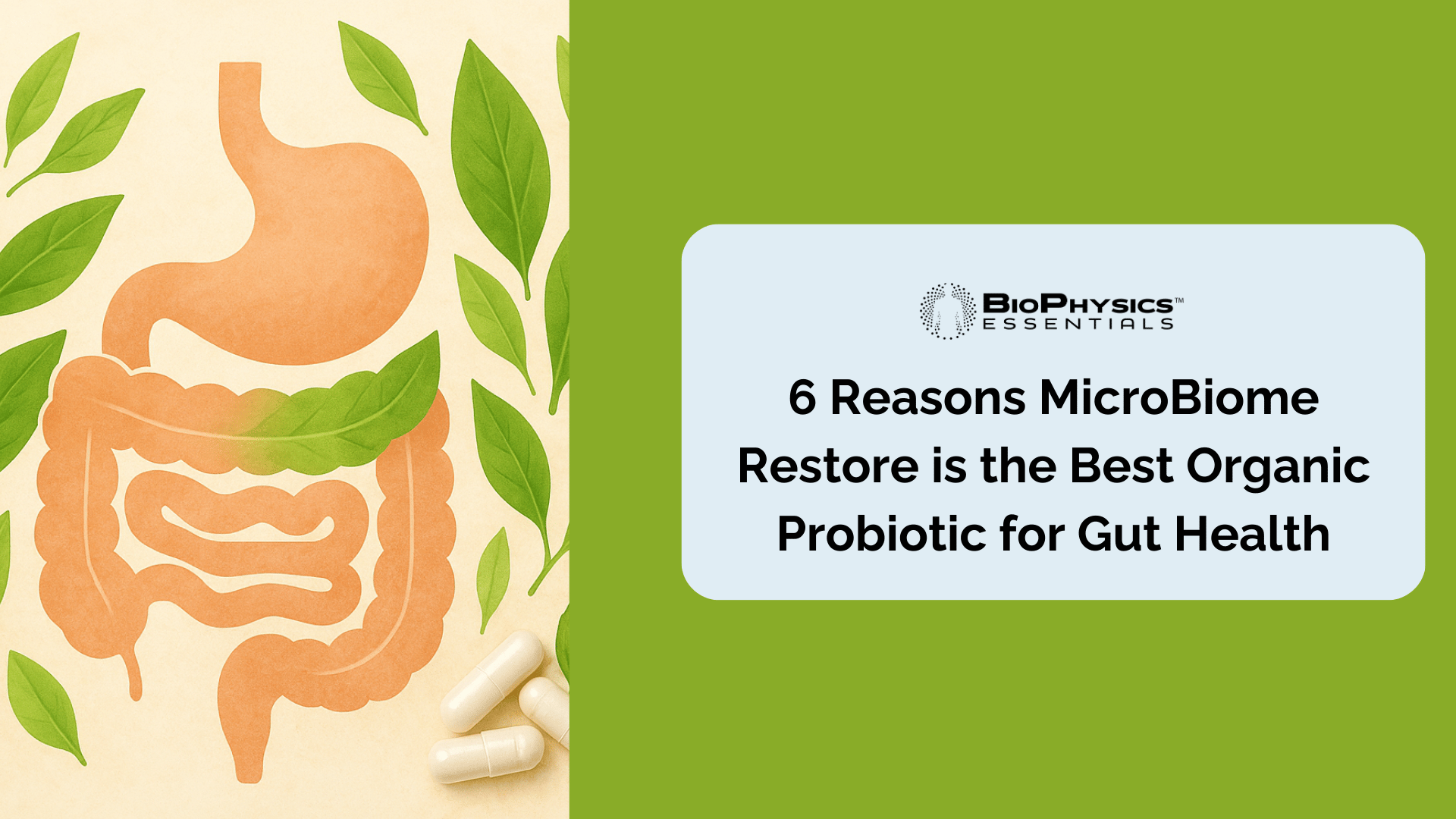 6 Reasons MicroBiome Restore is the Best Organic Probiotic for Gut Health