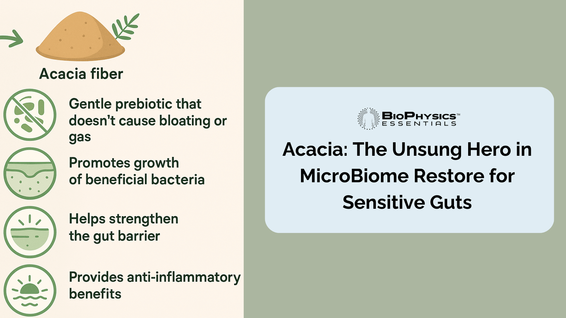 Acacia Fiber for Gut Health: Low FODMAP Prebiotic for IBS Relief