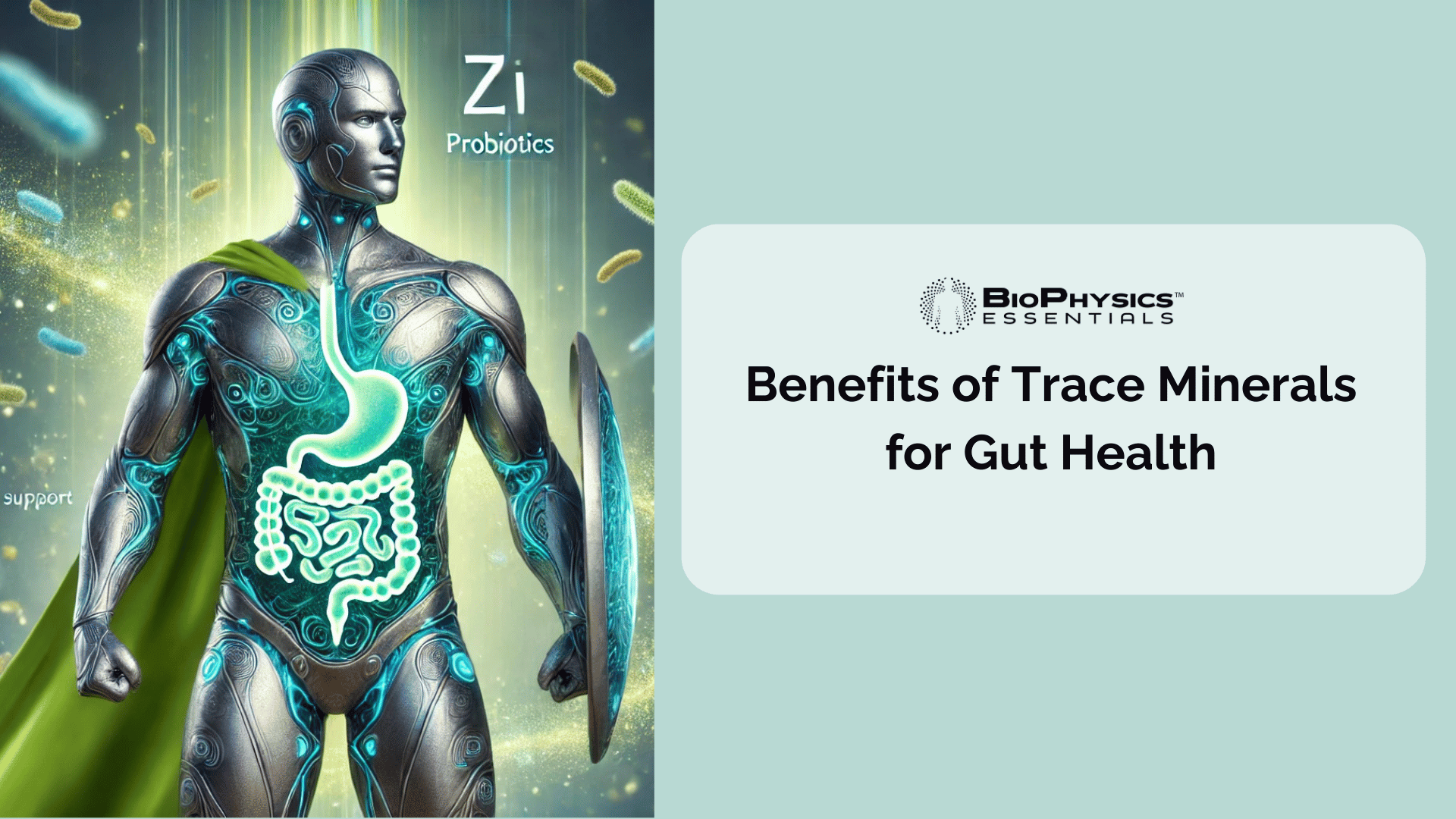 Benefits of Trace Minerals for Gut Health