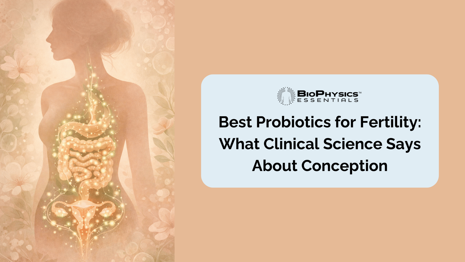 illustration of the female gut and reproductive system connected by glowing beneficial bacteria, highlighting the microbiome's link to fertility