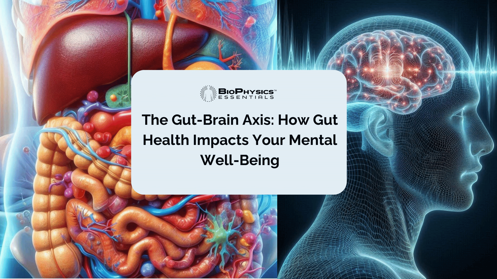 The Gut-Brain Axis: How Gut Health Impacts Your Mental Well-Being