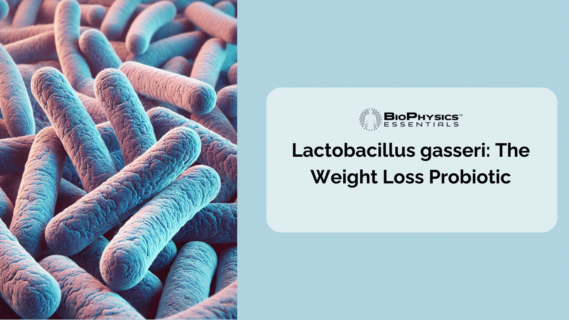 Lactobacillus Gasseri: The Weight Loss Probiotic
