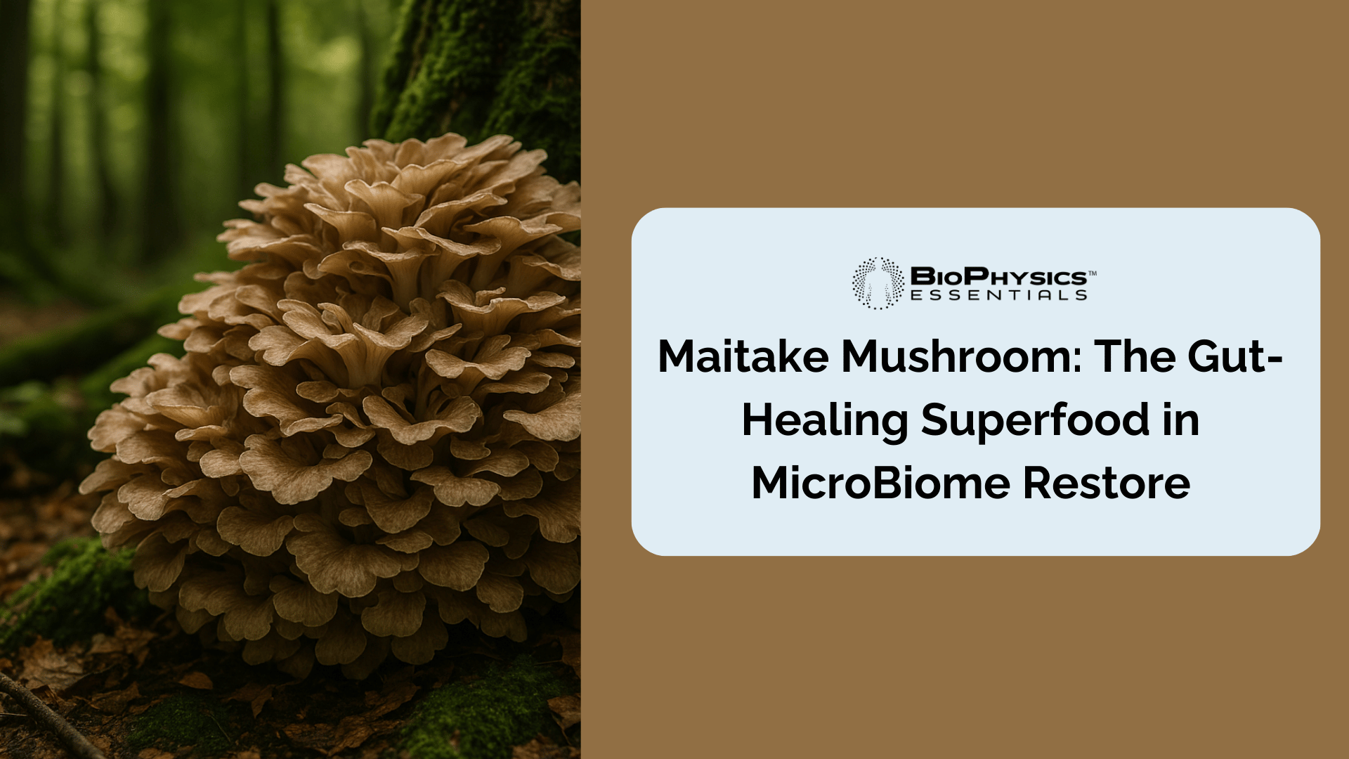 Maitake Mushroom Prebiotic Benefits: The Gut-Healing Superfood in MicroBiome Restore