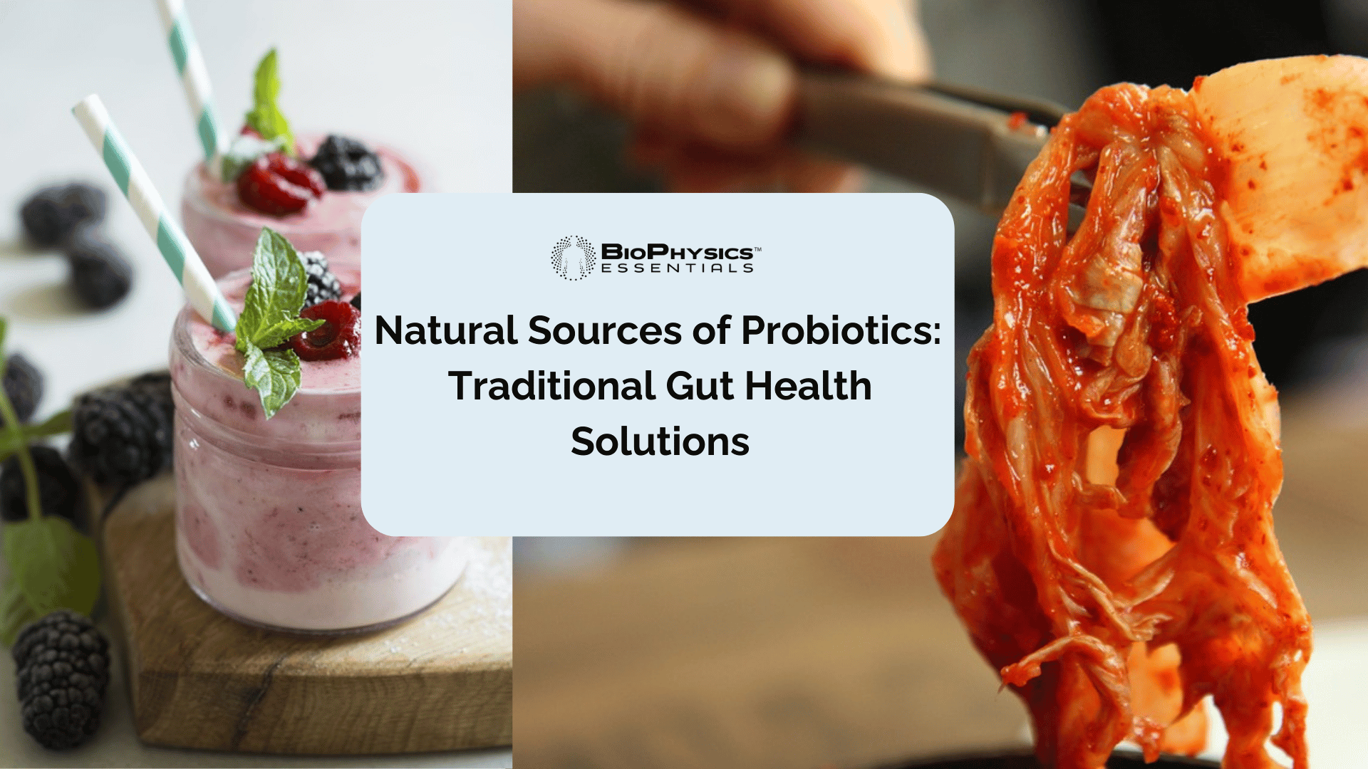 Natural Sources of Probiotics: Traditional Gut Health Solutions