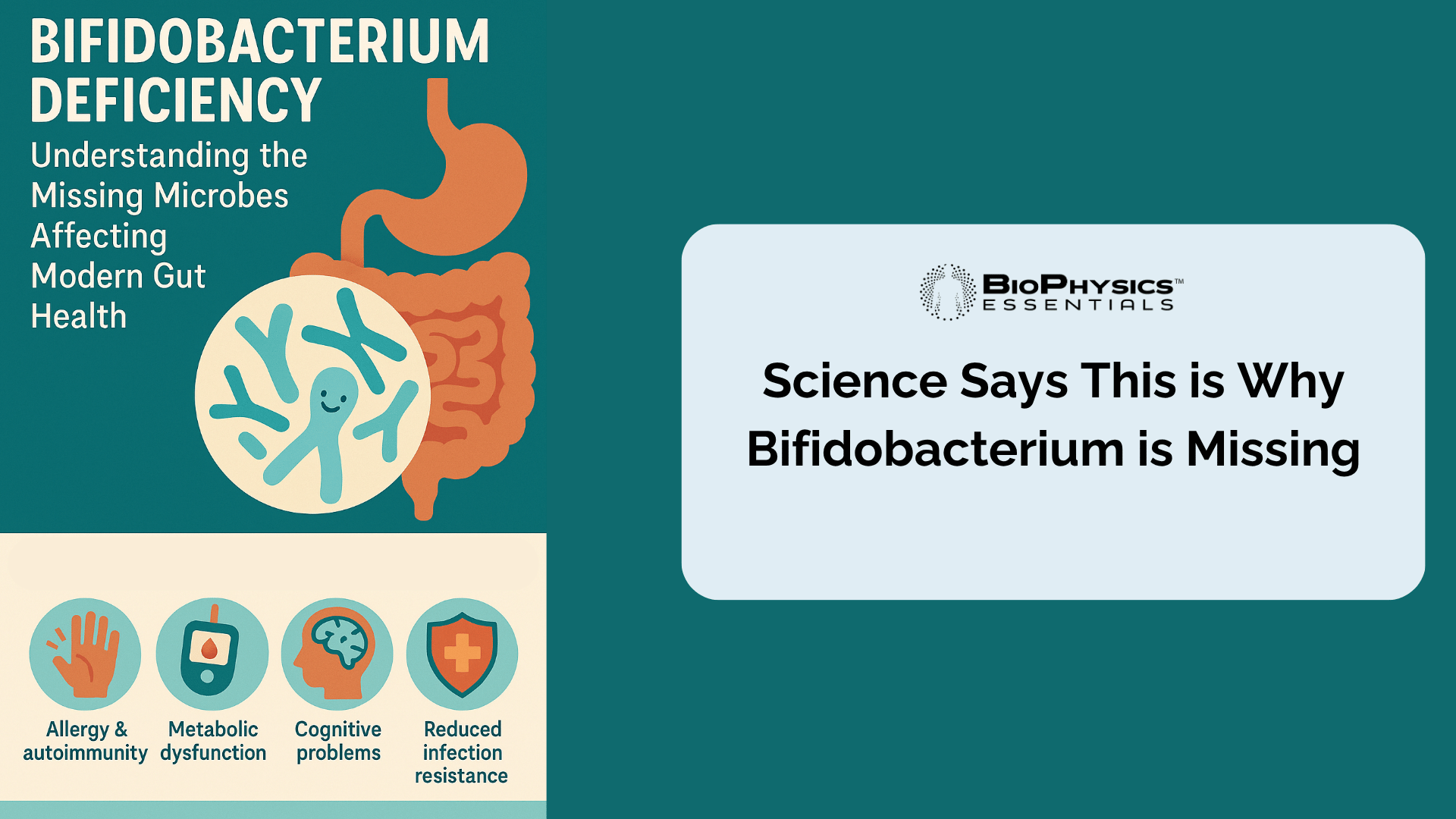 Science says this is why bifidobacterium is missing. Bifidobacterium deficiency causes infographic