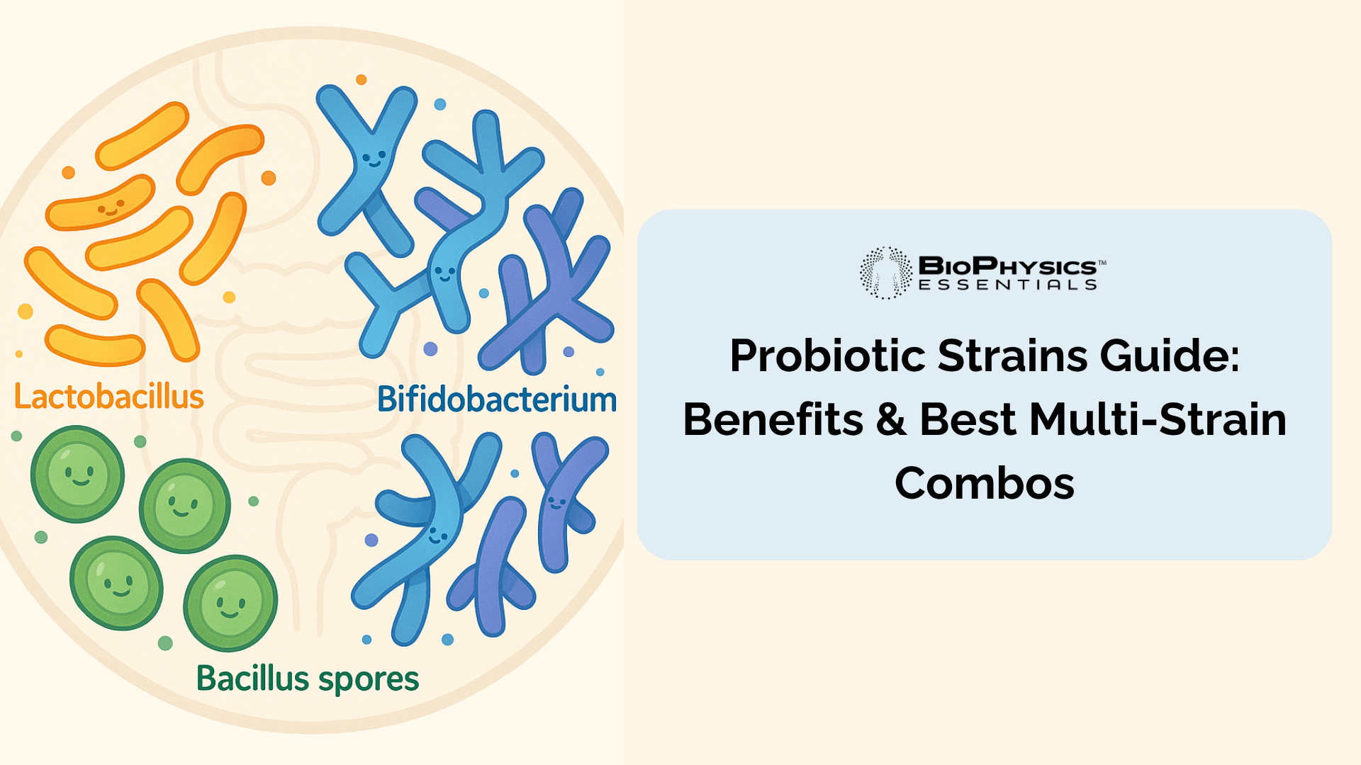 Diverse probiotic bacteria strains including Lactobacillus, Bifidobacterium, and Bacillus species arranged in circular ecosystem pattern showing multi-strain probiotic diversity