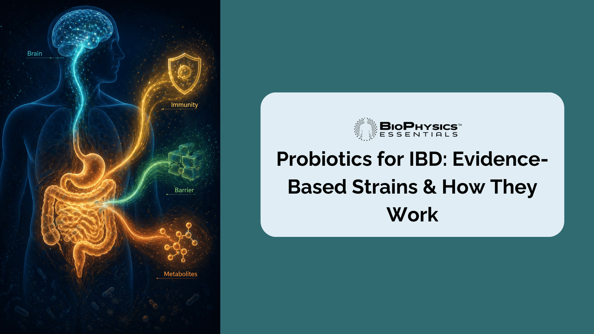 Probiotics for IBD: Evidence-Based Strains & How They Work