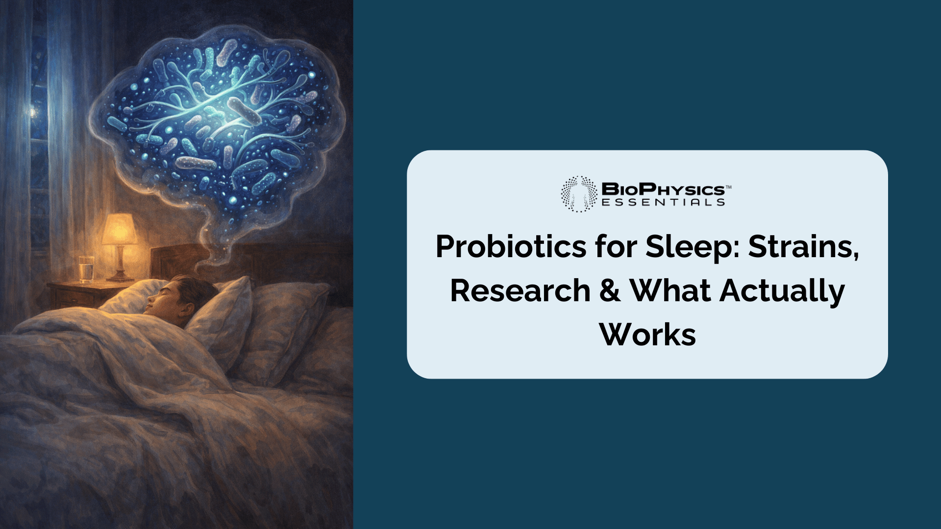 Illustration of a person sleeping peacefully with a dream bubble showing a glowing gut microbiome, representing the connection between probiotics and sleep quality