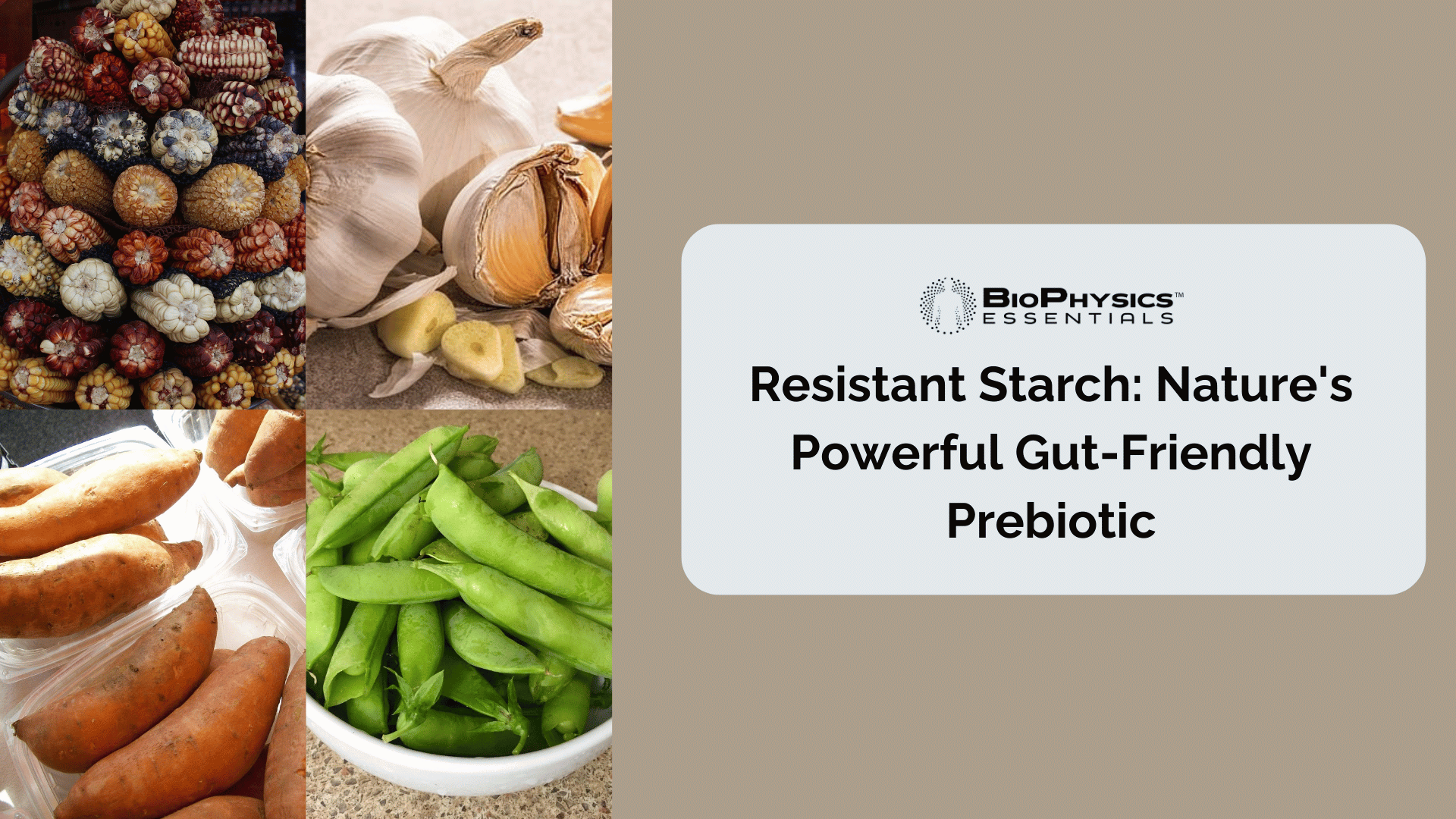 Resistant Starch: Nature's Powerful Gut-Friendly Prebiotic