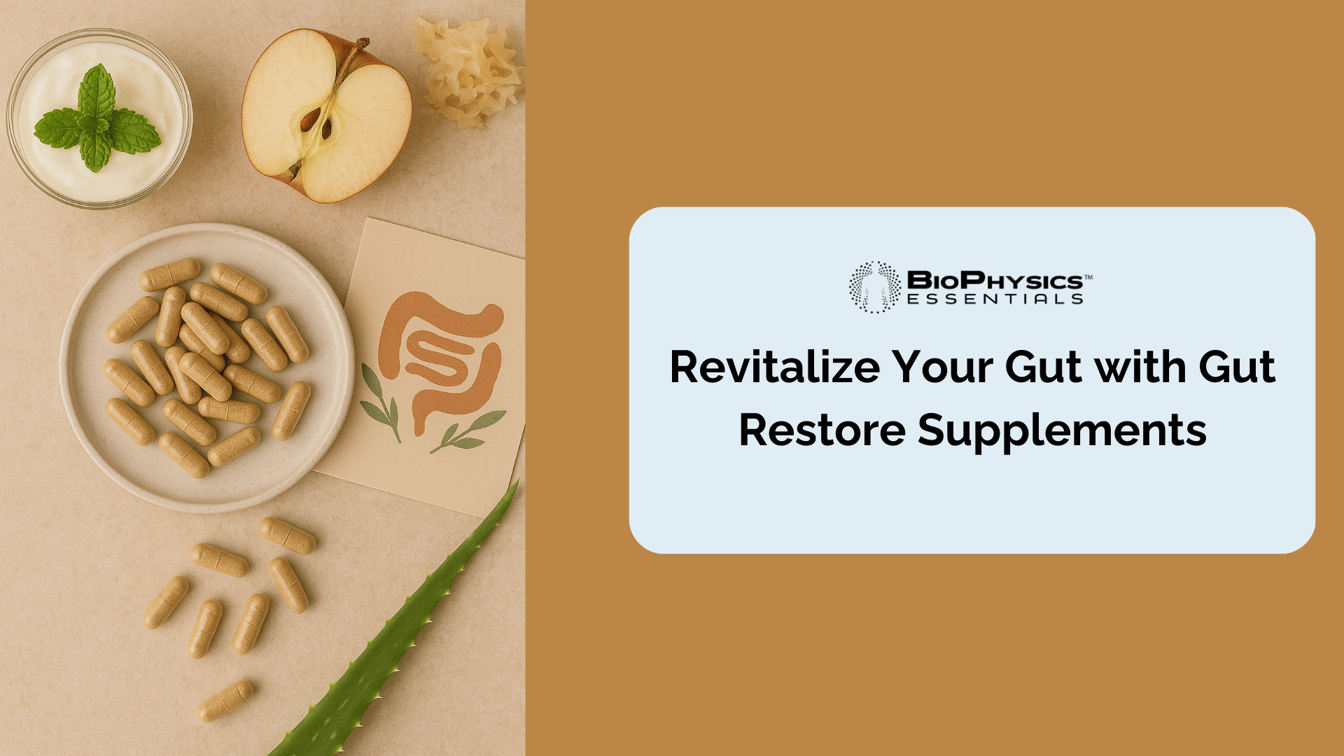 Revitalize Your Gut with Gut Restore Supplements