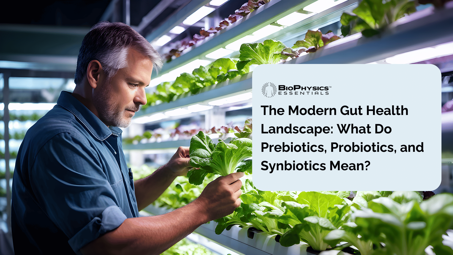 Prebiotics, Probiotics, and Synbiotics