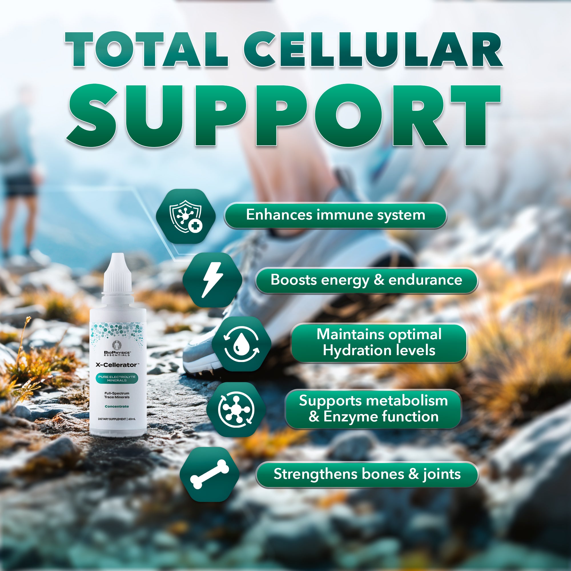 X-Cellerator Minerals