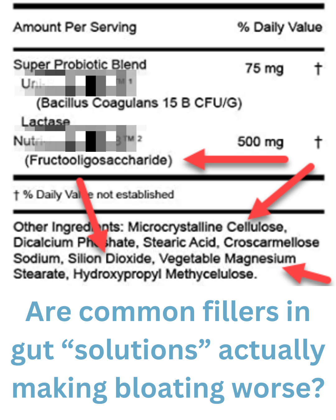 Common Probiotic Fillers Ingredients Label